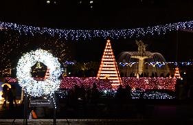 イルミネーションリレーマラソン、国営昭和記念公園で開催…幻想的なコースを走る 画像