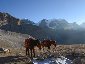 憧れのネパール、ヒマラヤ山脈での乗馬 画像