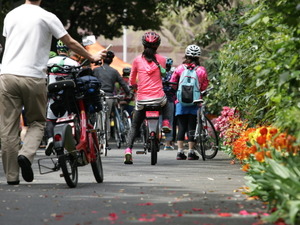 東京もあと5年で自転車が普及する…自転車王国オランダ公使 画像