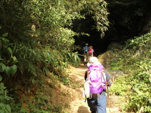 【小さな山旅】上昇、成長、発展、利益…ちょっとだけでいいから、山で忘れたい 画像