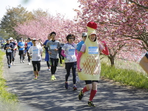 東北風土マラソンと連携し、東北の魅力を海外に発信「RUN! 東北プロジェクト」 画像