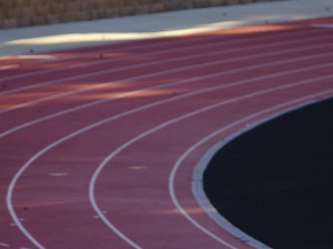 「未来への道 1000km縦断リレー」最終区間に朝原宣治、青木愛らが参加 画像