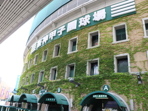 【高校野球2016夏】好投手・寺島成輝が1失点完投、履正社2回戦進出 画像