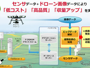 ドローンで「水稲」と「海岸保安林」を監視…新潟で実証プロジェクト 画像