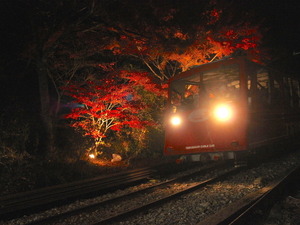【小さな山旅】ケーブルカーで夜間山行…茨城県・筑波山 画像