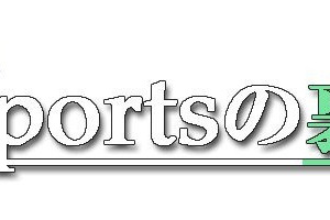 【e-Sportsの裏側】「e-Sports」は新しいエンターテイメントの形、「焦らず、じっくり進めていく。」―ウォーゲーミングジャパン キーマンインタビュー 画像