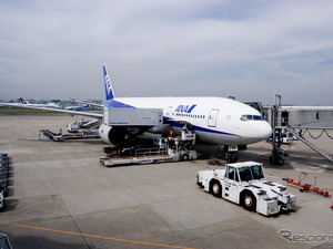 空港でヒアリの緊急点検、確認されず…国際線が就航する国内29空港 画像
