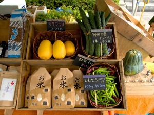 【礒崎遼太郎の農輪考】大阪中之島マルシェに自然農法の生産者として出店してみたらわかったこと 画像