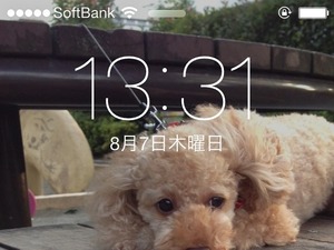 ヤフーがアプリに気象警報と避難情報の通知機能を追加 画像
