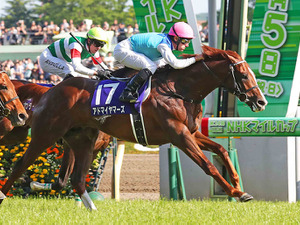 【競馬】マイルCS　データからルメール騎手以上に注目すべき騎手とは 画像