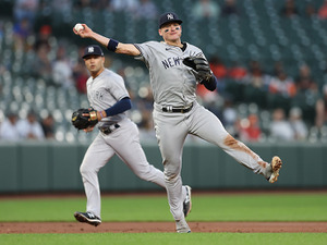 【MLB】妥当か大甘か　不適切発言のヤンキース・ドナルドソンに1試合の出場停止処分　機構は人種差別かどうか踏み込まず 画像