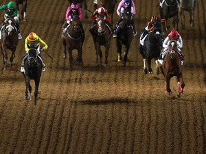 【サウジカップデー】海外ブックメーカーは日本馬を支持　ターフSは前年覇者ソングラインが1人気 画像