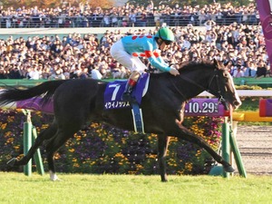 イクイノックスの凄みは「71.4％」にあり　最強馬論争に“終止符”か 画像