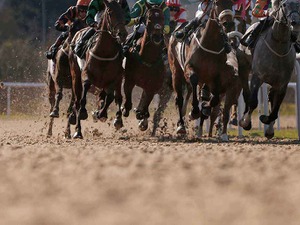 【JBCクラシック／データ攻略】「JRA史上2位の馬」がテーオーケインズ斬りへ　人気一角には【1.1.1.0】 画像