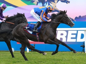 ディープ産駒オーギュストロダン、ドバイシーマクラシックが視野　牝馬三冠リバティアイランドら日本馬と激突か 画像