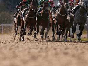 【サウジカップ2024】ウシュバテソーロに“勝機到来”か　日本馬Vの2戦に「外差し優位」の馬場傾向浮上 画像