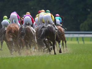 【ヴィクトリアマイル／馬場情報】キーワードは「持ち時計」と「速い上がり」　ナミュール当確も、穴に想定“10人気”を指名 画像