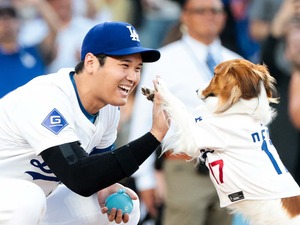 【MLB】「僕が緊張した」大谷翔平、デコピン始球式で本音吐露　練習期間は3週間で「きれいに決めてくれて良かった」と安堵 画像