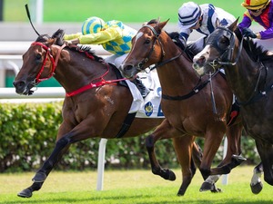 【七夕賞／データ攻略】セブンマジシャンとシルトホルンの「買い or 消し」　“押さえ必須”の激走馬目白押しローテは 画像