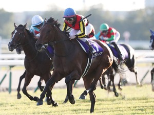 【エリザベス女王杯】ジョッキーカメラに見たレガレイラ・戸崎圭太のブレない映像に、ファン感嘆「ベリベリジョッキー」 画像