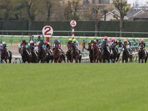 【朝日杯FS／全頭診断】無敗の人気一角に「2.1.2.0」　道悪と急坂替わりでフォーカスすべき“血統傾向” 画像