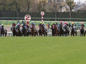 【フェアリーS／全頭診断】「単複回収値150超」で穴妙味感じる想定6人気以下　“押さえ程度が妥当”の前走重賞組は 画像