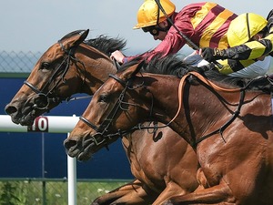 【高松宮記念／穴ライズ】前売り10人気前後を「高配当の使者」に抜擢　復調モードで枠良し展開OK 画像