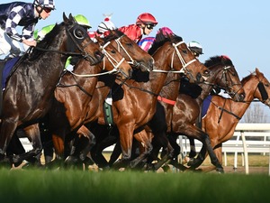 【日本ダービー／全頭診断】皐月賞馬ロブチェンに“馬券内率83％”　「最高の枠」ゲットの穴馬も虎視眈々 画像