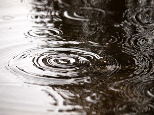 【プロ野球】阪神対広島戦、雨天中止…不振の両チームに恵みの雨となるか 画像