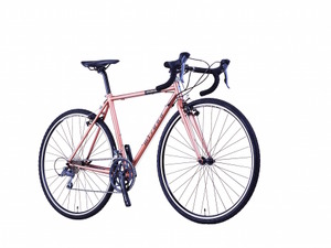 マルチパーパスバイク「スポルツアー」はオフロード走行できるクロモリバイク 画像