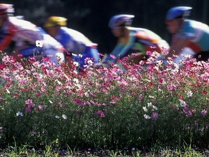 ツール・ド・フランスで大活躍のブリオシュチーム来日 画像