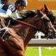 【天皇賞春／穴ライズ】完敗の一戦から馬が一変　単勝オッズ“2桁”想定の惑星が「適性×成長」で急浮上 画像