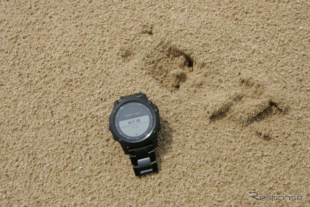 この地点の高度は38mだ。砂の上の足跡は野生のシカらしい