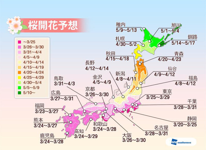 西・東日本は例年並～やや遅めの開花　ウェザーニューズ、2015年 第三回桜開花予想