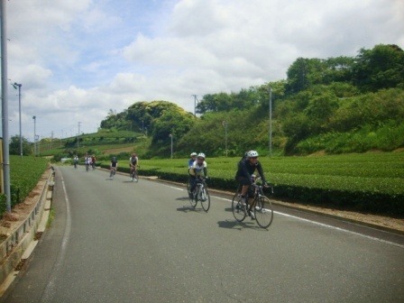 5月23日の掛川サイクリングツアー「いかざぁ100kmガイドサイクリング」参加者募集中（画像＝スローライフ掛川2015）