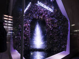 チームラボが描く“光の珠の散らばる木”。ミキモト銀座2丁目本店のショーウィンドウ 画像