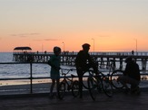 【自転車のある風景】アデレードで加速する自転車環境づくり 画像