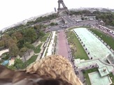 今度はパリを飛ぶ鷹目線 画像