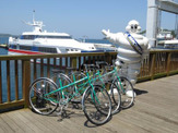 【自転車】松山観光港、呉港のレンタサイクルに「パリ・ブレスト・スポールV2」採用 画像