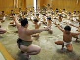 【相撲】わんぱく相撲全国大会、両国国技館で開催…海外選手も参加 画像
