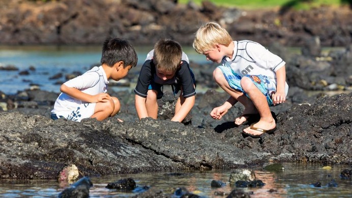 子ども向け「クラブ・ケイキ・サマーキャンプ」がハワイで開催