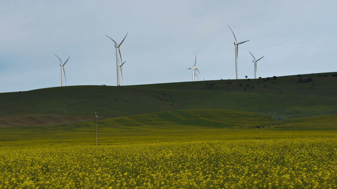 南オーストラリア州が力を注いでいる風力発電