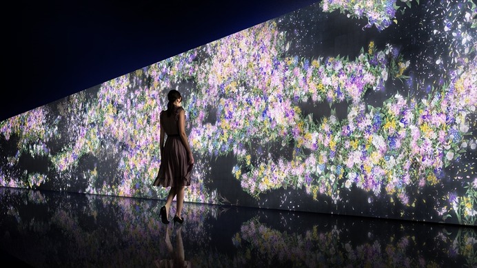 暗闇に広がる花々の世界「幻想的で儚くきれい」…チームラボ作成　GUCCI新宿