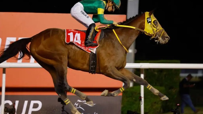 【サウジカップ2024】日本馬が“イクイノックス超え”へ　現実味帯びる「生涯獲得賞金30億円」突破