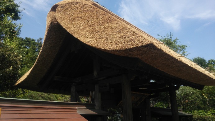 自宅のある鎌倉は裏山に入れば丸一日山の中を歩けるくらいにトレールがある