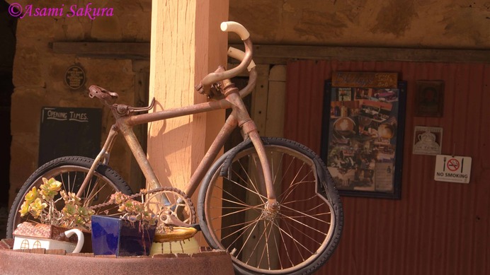 MTBの街、メルローズのカフェでは、ディスプレイ用の自転車も多く見る