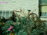 【自転車のある風景】写真アーカイブ vol.1 画像