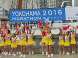 横浜マラソン2016、9月1日からのランナー募集を開始 画像