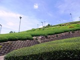 【自転車】京都の茶源郷を走り抜けた「たびーら・宇治抹茶スイーツ・ライド京都やましろ」 画像