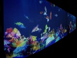 描いた魚が自由に動く！チームラボ「お絵かき水族館」…東京デザインウィーク 画像